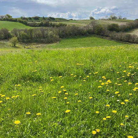 Apartment Grosses Stort