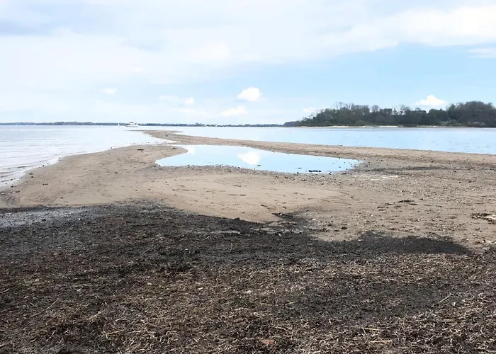 Rinkenaeshus Grosses Apartamento