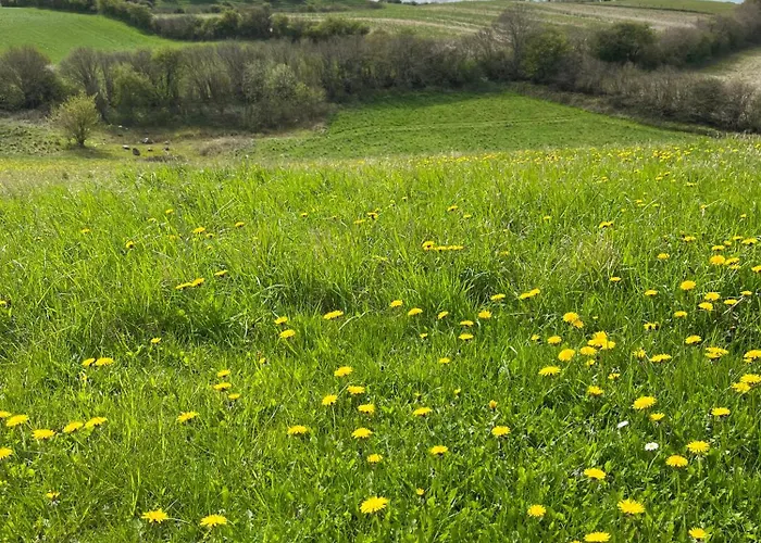 Apartamento Rinkenaeshus Grosses