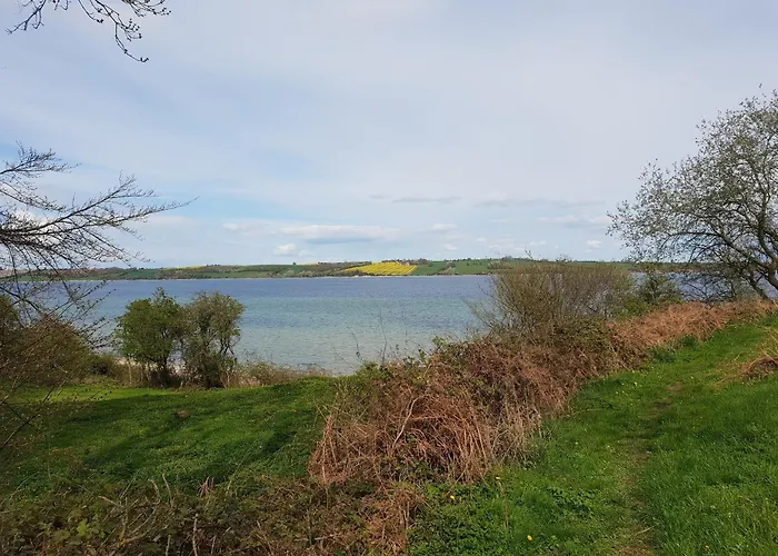 Rinkenaeshus Grosses